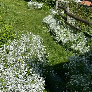 studio-huguette.hotels-rhonealpes.com/